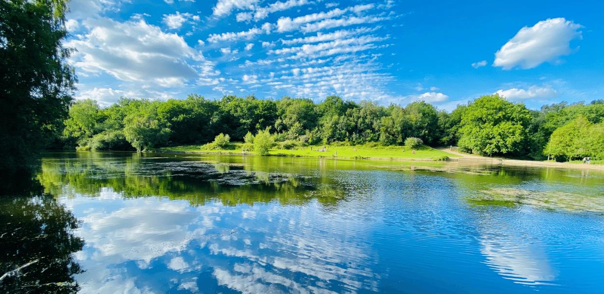 A Spotlight on Sutton Coldfield