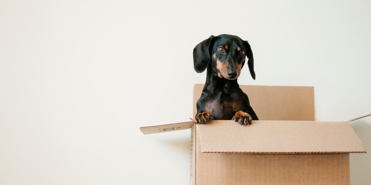 Helpful hacks to make moving house as stress-free as possible