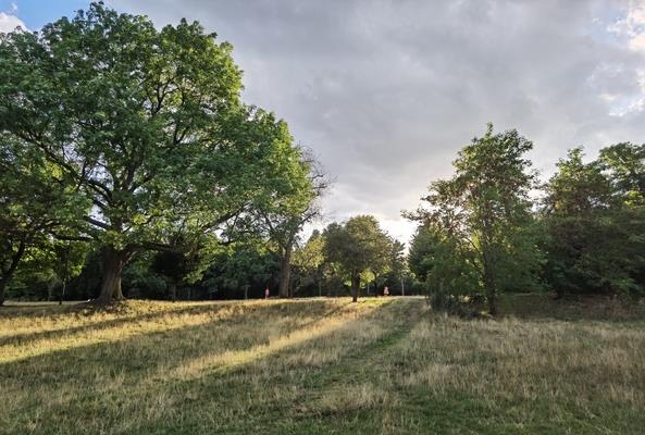 A Spot light on Wandsworth, London